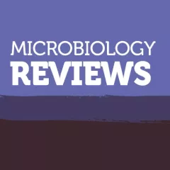 FemsReMicro