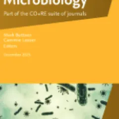 C1